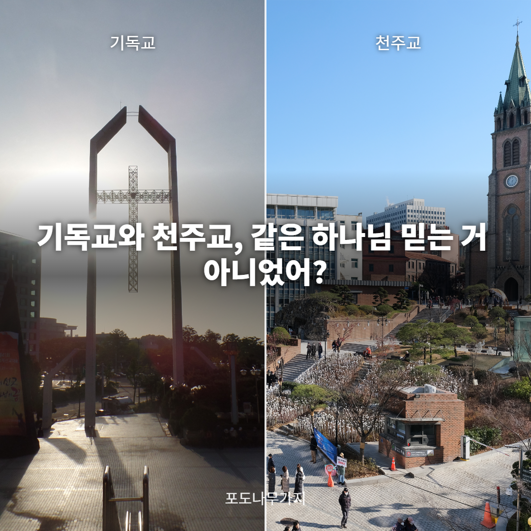 기독교 교회와 천주교 성당을 나란히 담은 이미지