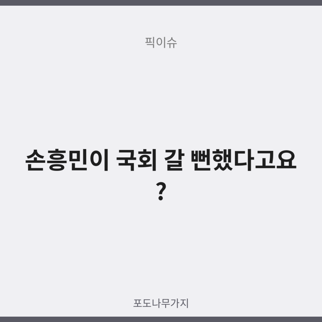 손흥민 황희찬 국회 청문회 대표이미지